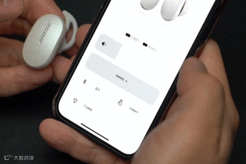 博士(Bose)消噪耳塞