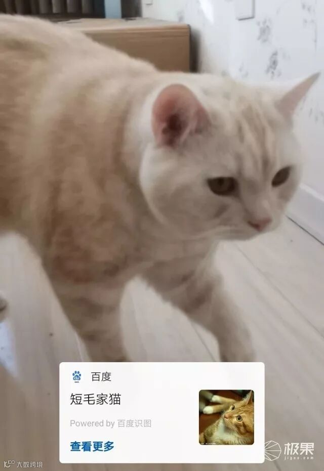 荣耀Magic2评测:麒麟980+无刘海滑盖,这个“快板”有点香