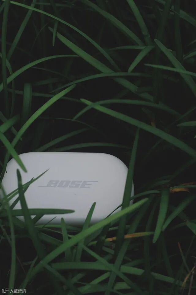 博士(Bose)消噪耳塞