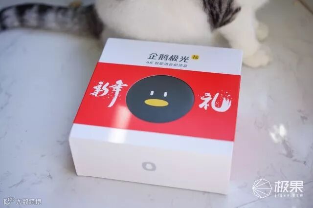 企鹅极光盒子1s