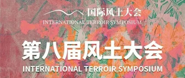 11.21上海｜Stella庄主亲临，今年风土大会来找我们喝这四家超绝酒庄！