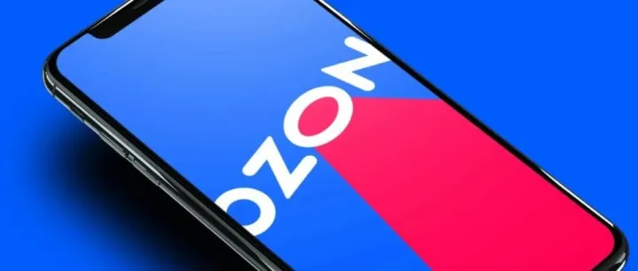 俄罗斯海关新系统上线到计时，做俄罗斯本土电商的中国卖家该如何合规突破？