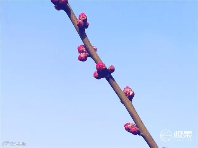 一加(oneplus)5T手机