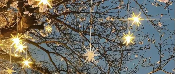 “你爱我吗” 没了回音：像挂了的网络电话，拉黑了日子的温度