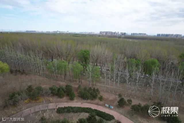 大疆Air2S上手体验:一英寸大底加持!这就是台会飞的数码相机