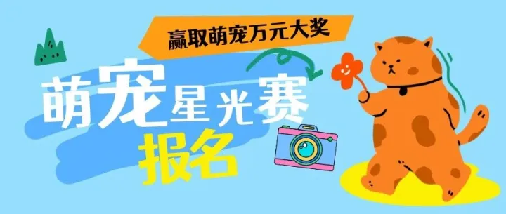 赢万元宠物险 + 免费摄影！「 萌宠星光投票赛」报名啦！猫狗家长冲冲冲！