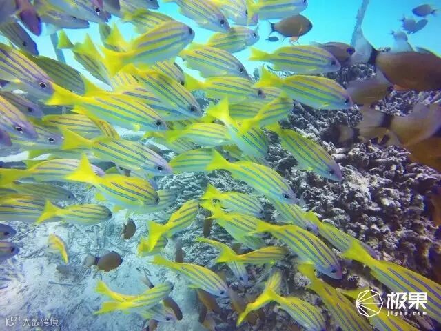 魔声 Backfloat 蓝牙音箱