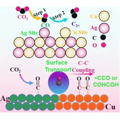 福建物构所<em>韩</em><em>丽</em><em>丽</em>团队ACS Catalysis: 显式微环境揭示CuAg催化C–N偶联制乙酰胺和尿素
