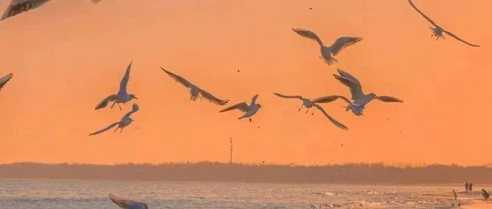 你朋友圈从不提我，是怕谁看见啊，还是觉得我拿不出手？