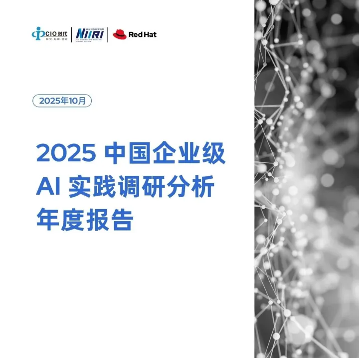 2025 中国企业级AI 实践调研分析年度报告