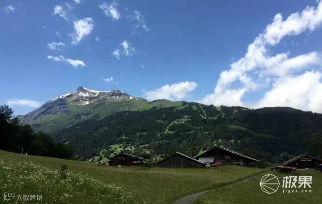 Suunto Traverse Alpha 腕表