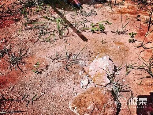 全能的如意棒-汉道野外生存战术棍测评