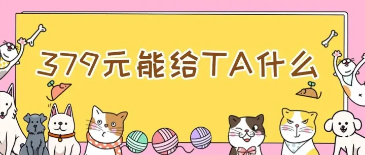 萌宠赛获奖名单出炉！更重要的是，给毛孩子的 “安心保障” 终于来了