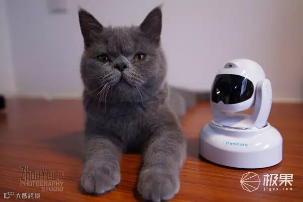 iFamCare小觅智能逗宠监护器