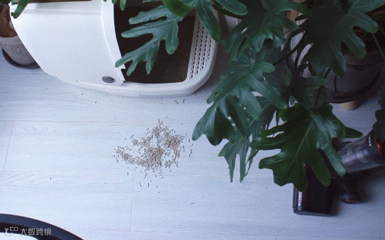 莱克(LEXY)魔洁·立式手持多功能无线吸尘器M12MAX