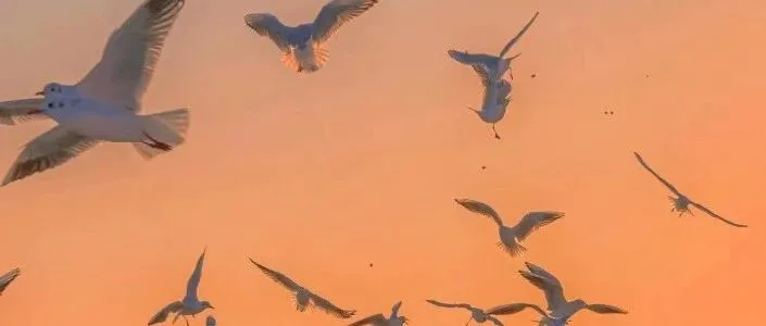 你把他的网络电话设为拦截，却拦不住 “当初为什么选他” 的自问