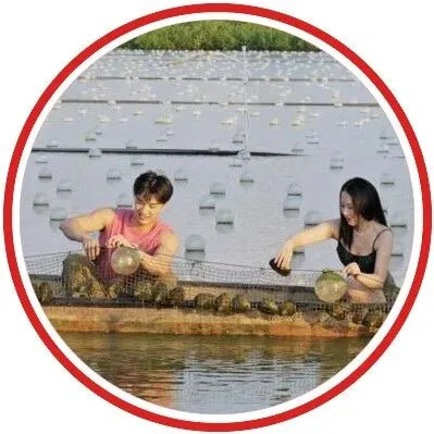 中国最“逆袭”小镇：人口不足3万，一年狂揽500亿