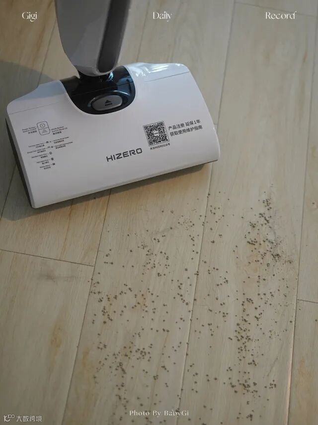 打工人首选洗地机!解决996扫屋烦恼,高效清洁回家就能葛优躺