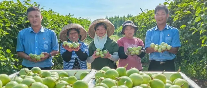 喜讯！《给硇洲的告白》荣获第八届中央企业优秀故事优秀奖
