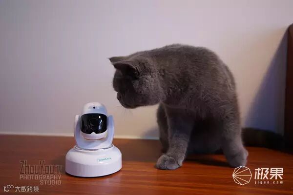 iFamCare小觅智能逗宠监护器