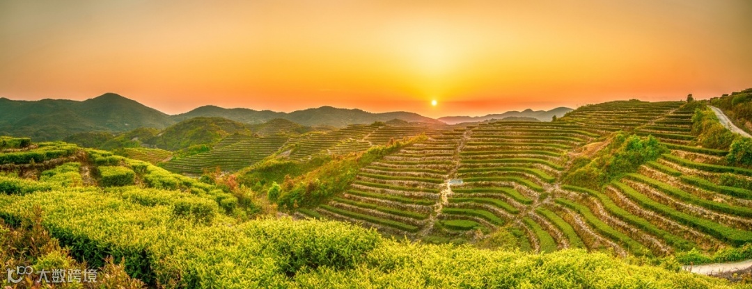 简篇-2024深圳茶博会漳州展团