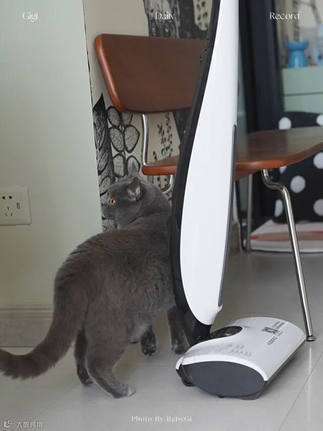 打工人首选洗地机!解决996扫屋烦恼,高效清洁回家就能葛优躺