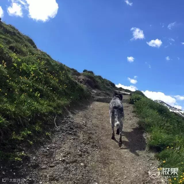 Suunto Traverse Alpha 腕表