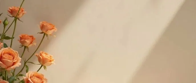 允许自己 “搞砸”：这是成年人最温柔的和解