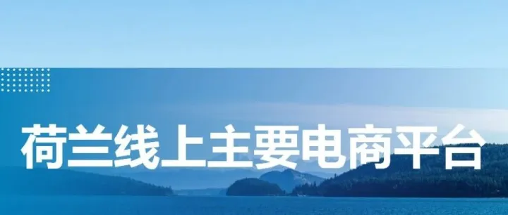 荷兰线上主要<em>电</em><em>商</em><em>平台</em>