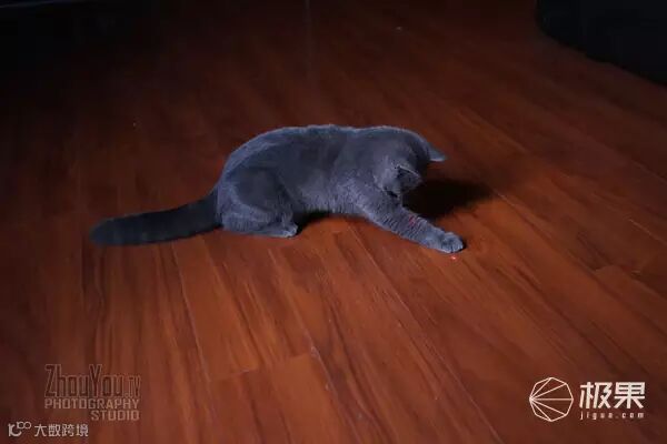 iFamCare小觅智能逗宠监护器