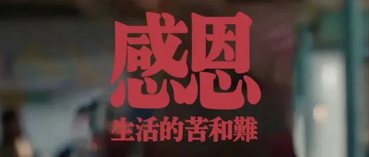 特别企划：2025，感恩生活中的苦和难