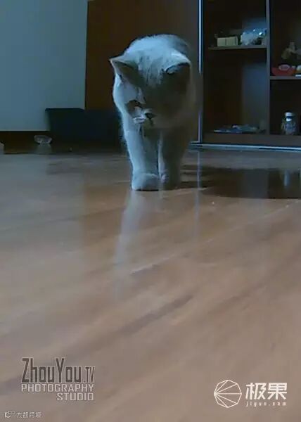 iFamCare小觅智能逗宠监护器