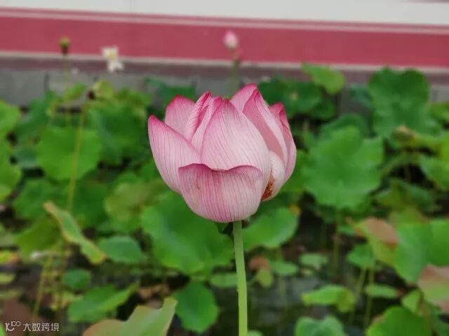 双频GPS,全球定位精准不漂移,小米8手机评测