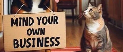 [转载]BBC英语短语 - Mind <em>your</em> <em>own</em> business