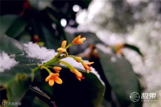 一加(oneplus)5T手机