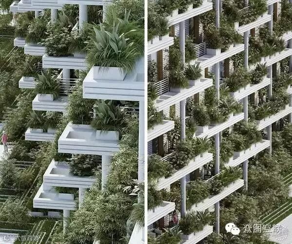 建筑设计丨在阳台上放些绿植,就敢叫花园别墅了?