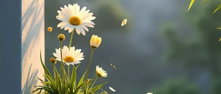 未接网络<em>电话</em>：凌晨三<em>点</em>的雨，没说的 “你在哪”