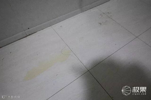 凯驰(Karcher)SC2蒸汽清洁机