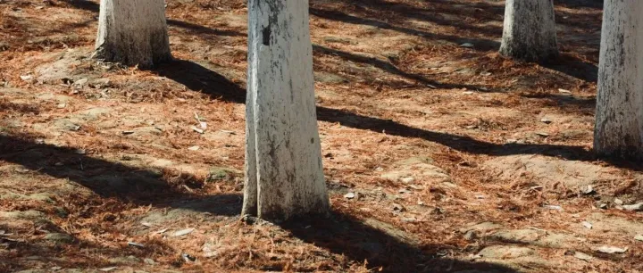 说个确定性强的BUG