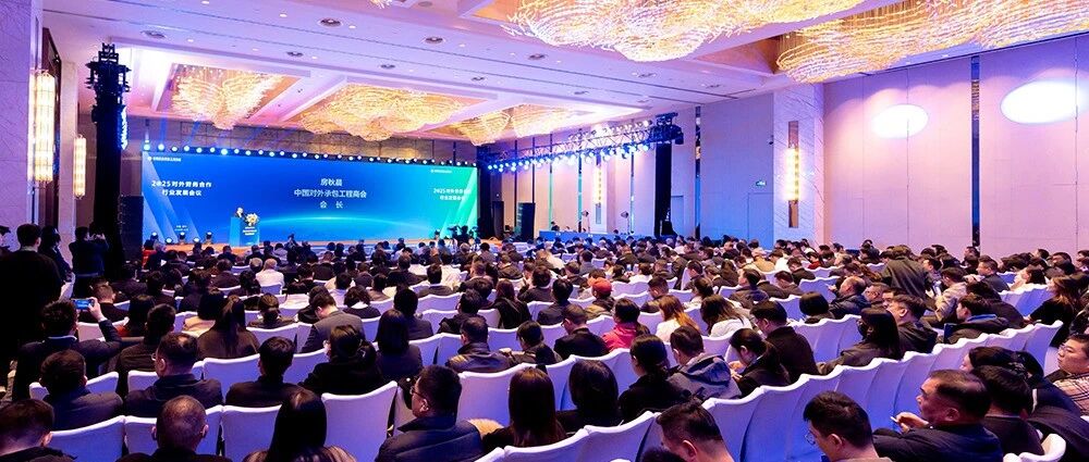 2025对外劳务合作行业发展会议成功举办- 大数跨境