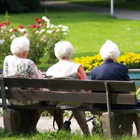 老人在养老机构内自行进食馒头噎食后身亡，责任由谁承担？