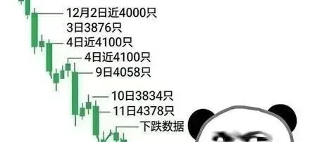 连载系列七（如何选择一个好股票）