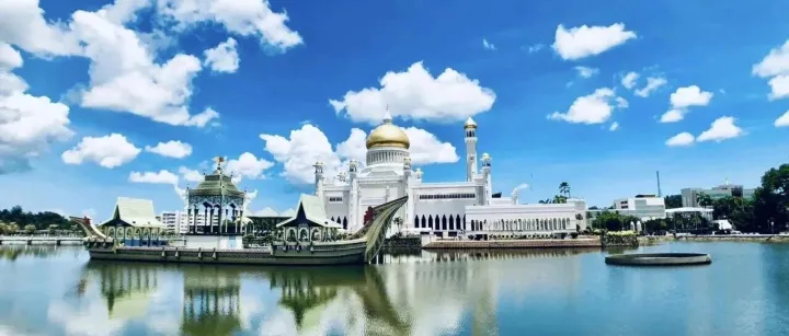 查询文莱公司报告可以获取什么信息？