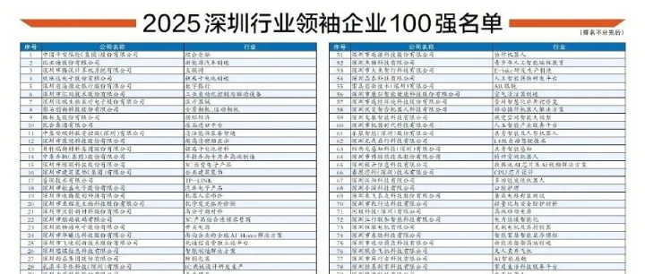 荣誉 | 再度登榜！鲲云科技荣获“2025深圳行业领袖企业100强”