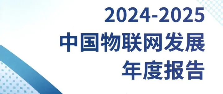 2024-2025中国物联网发展年度报告-103页(附下载)