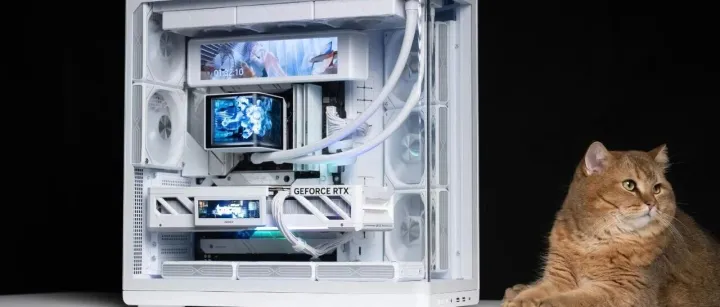 不懂就问，机箱长“猫”了，该如何打理？