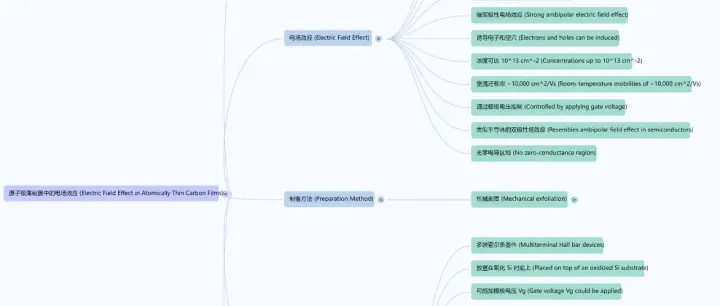 Electric Field Effect in Atomically Thin Carbon Films