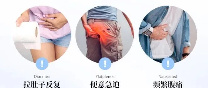 <em>以色列</em>原装｜肠道益生菌