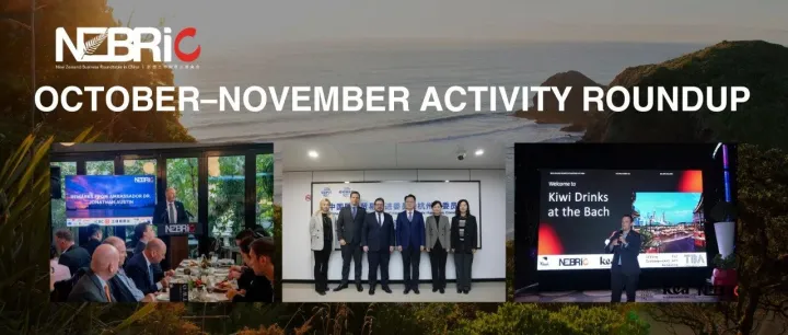 NZBRiC October-November <em>Activity</em> Roundup