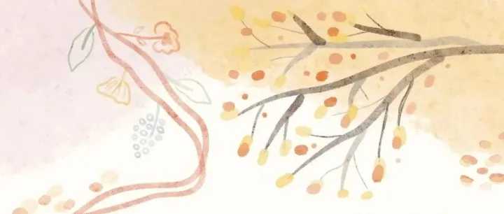 【12月外贸新规】